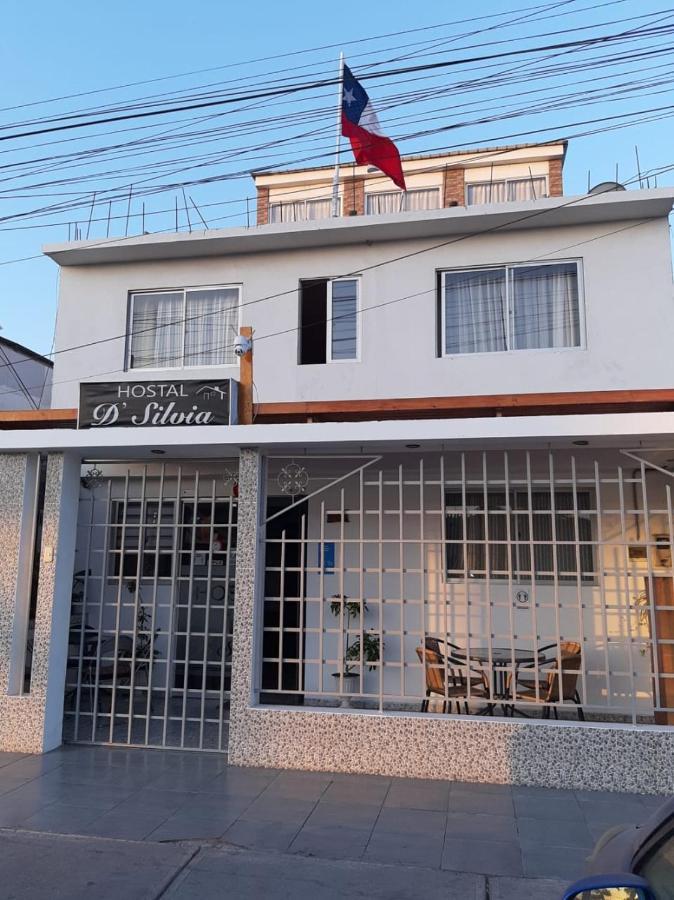 Hostal D' Silvia Arica Dış mekan fotoğraf